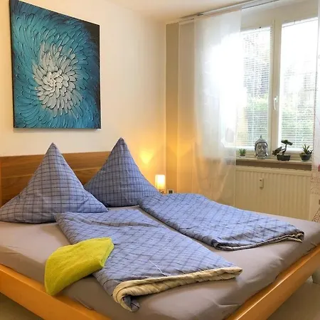 Seestern Bodman-Ludwigshafen